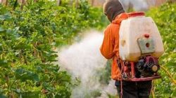 Pesticides